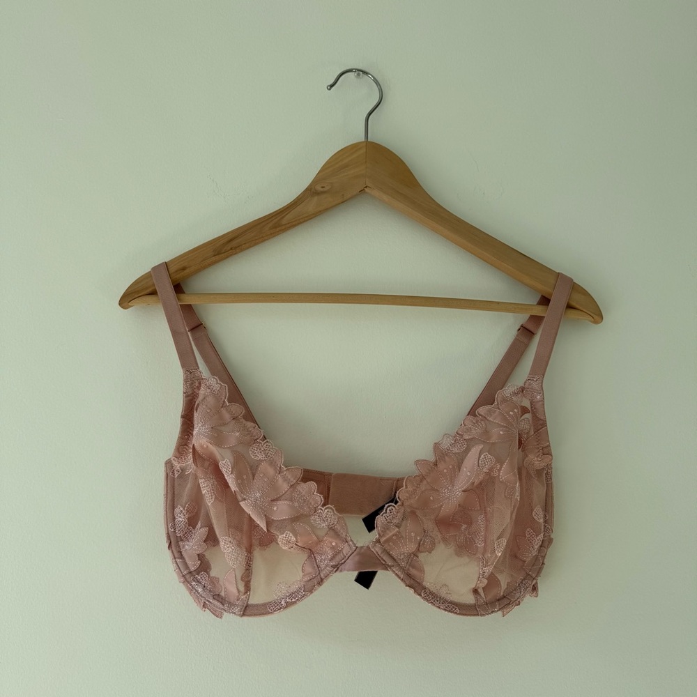 Victoria's Secret Sheer Lace Bra in Blush